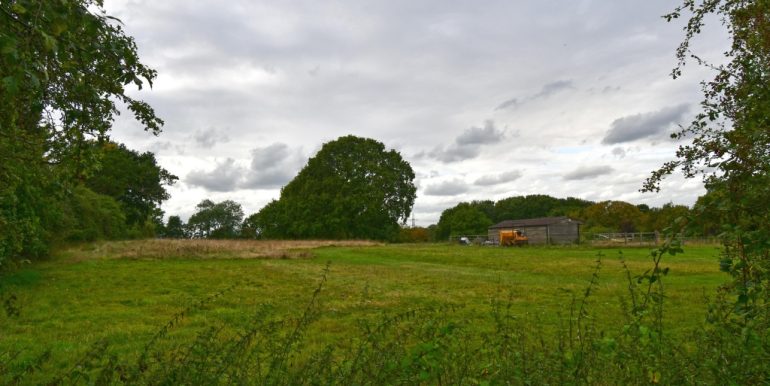View End Of Garden_1024x683