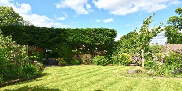 Garden 1 of 2_1024x683