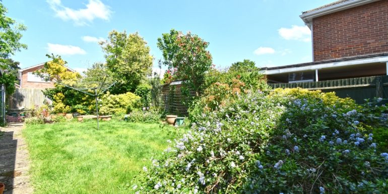 Rear Garden_1024x683