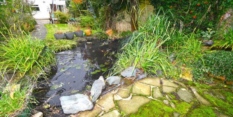 Garden Pond 2 of 3