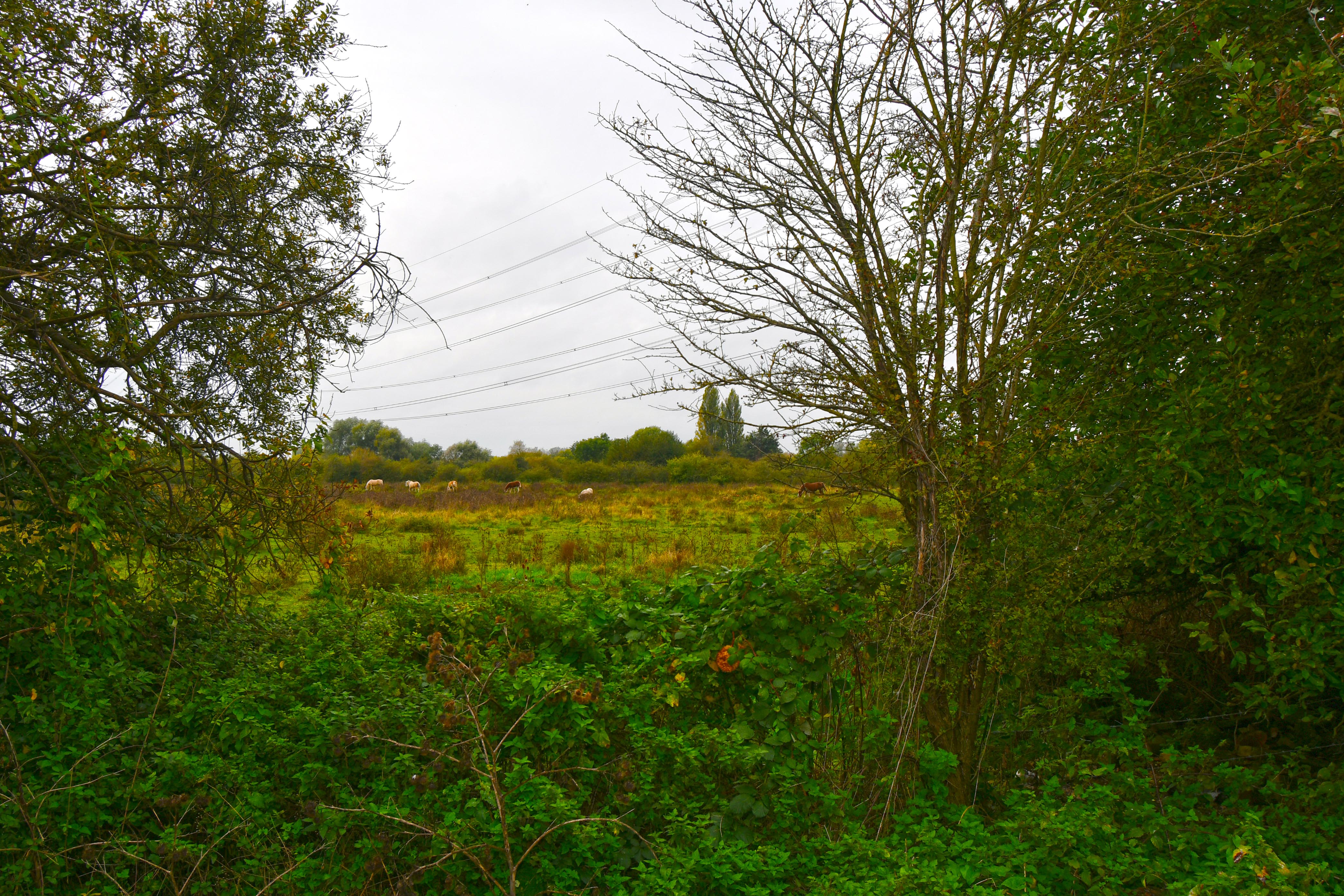 Offered With No Upward Chain - Nazeing Road, Nazeing, EN9 - Jean Hennighan Properties