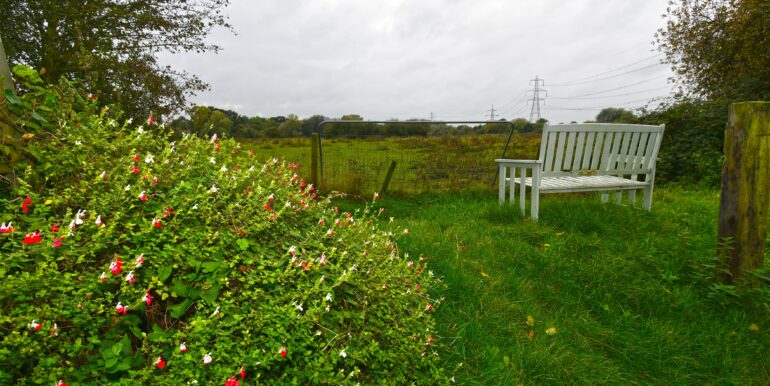View at Back of Garden